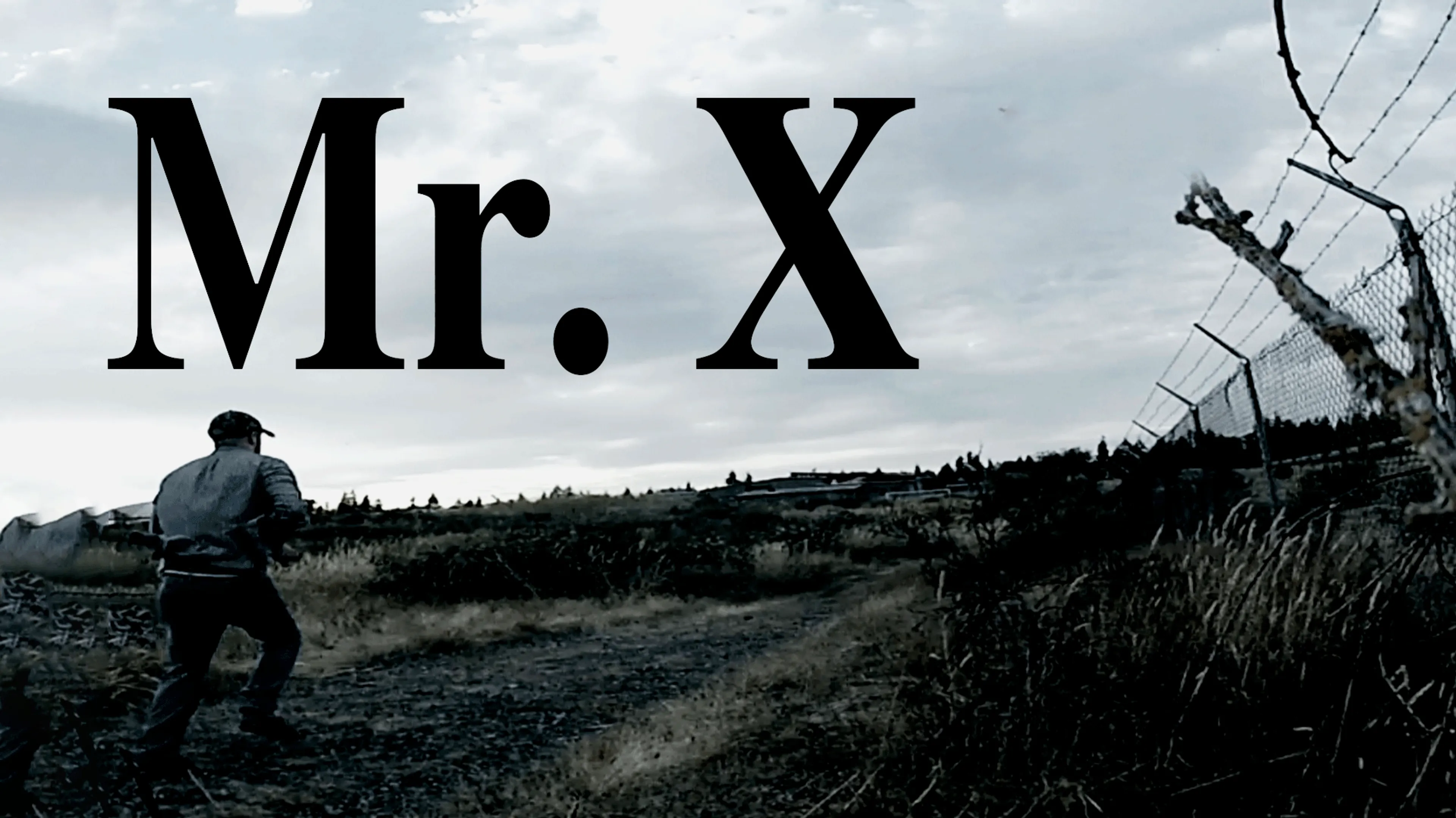 Mr. X poster